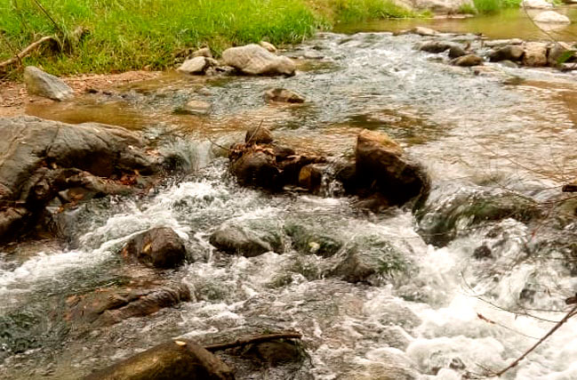 Arroyo junto al complejo