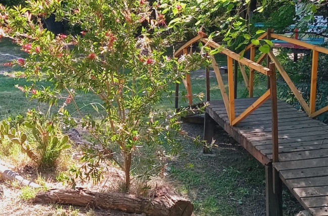 Parque